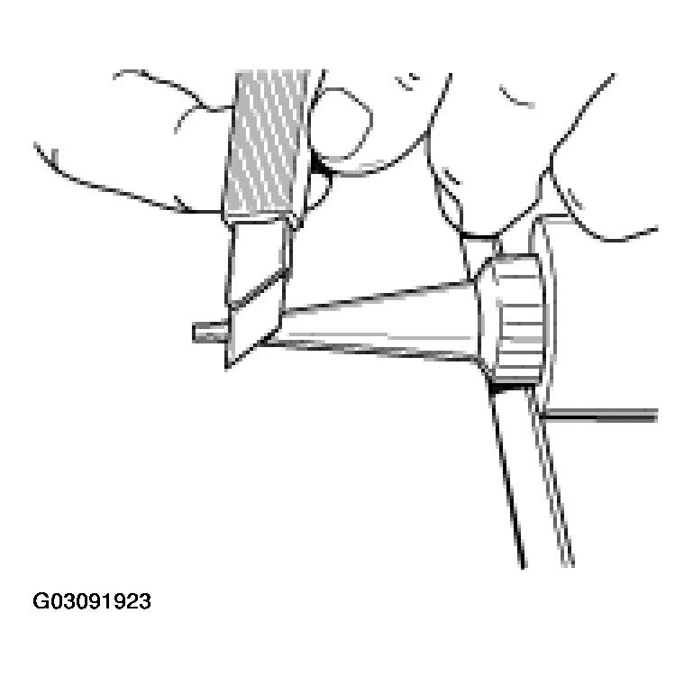 G03091923