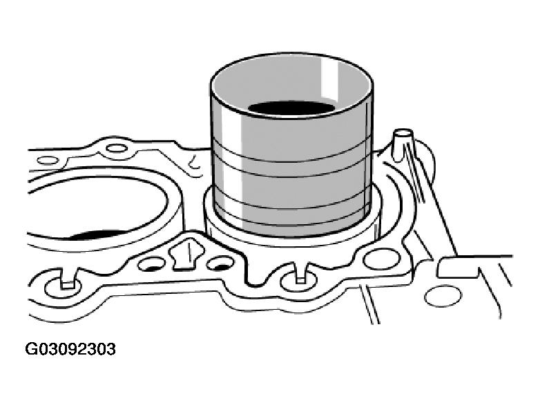 G03092303