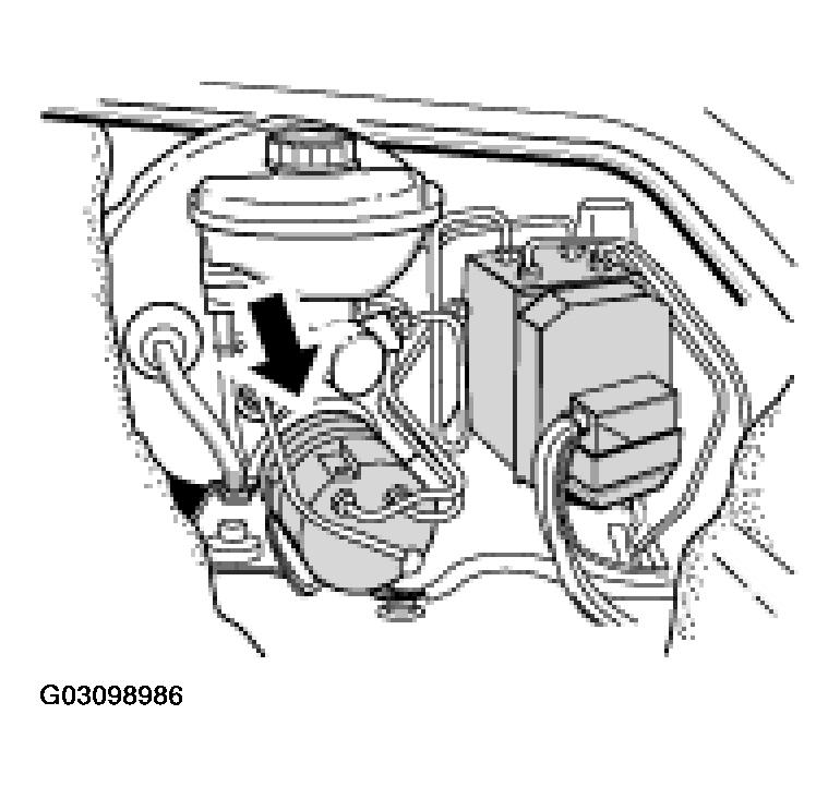 G03098986
