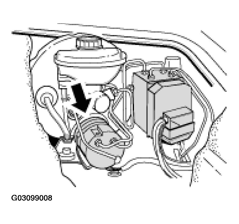G03099008