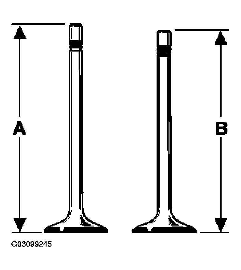 G03099245