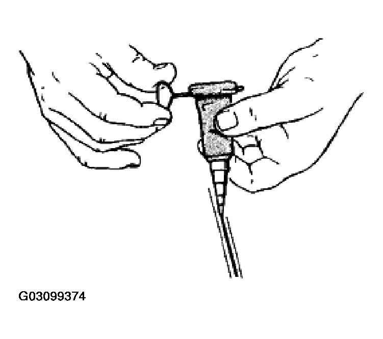 G03099374