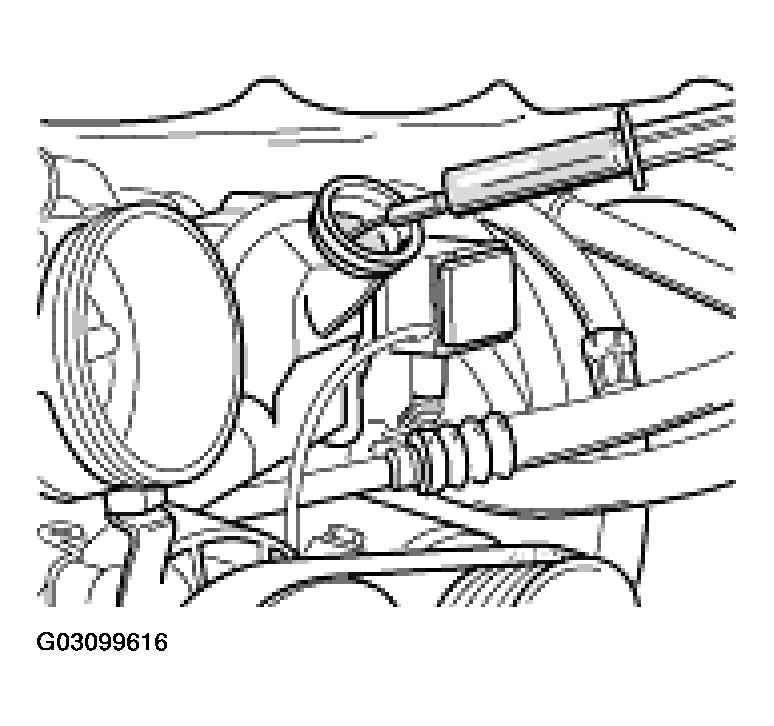 G03099616