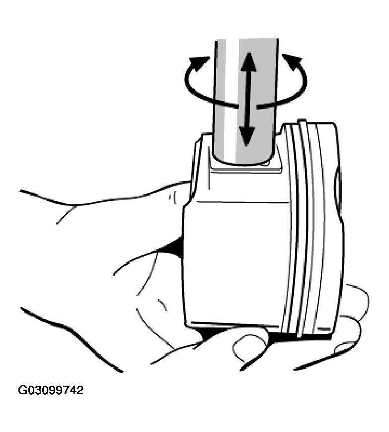 G03099742