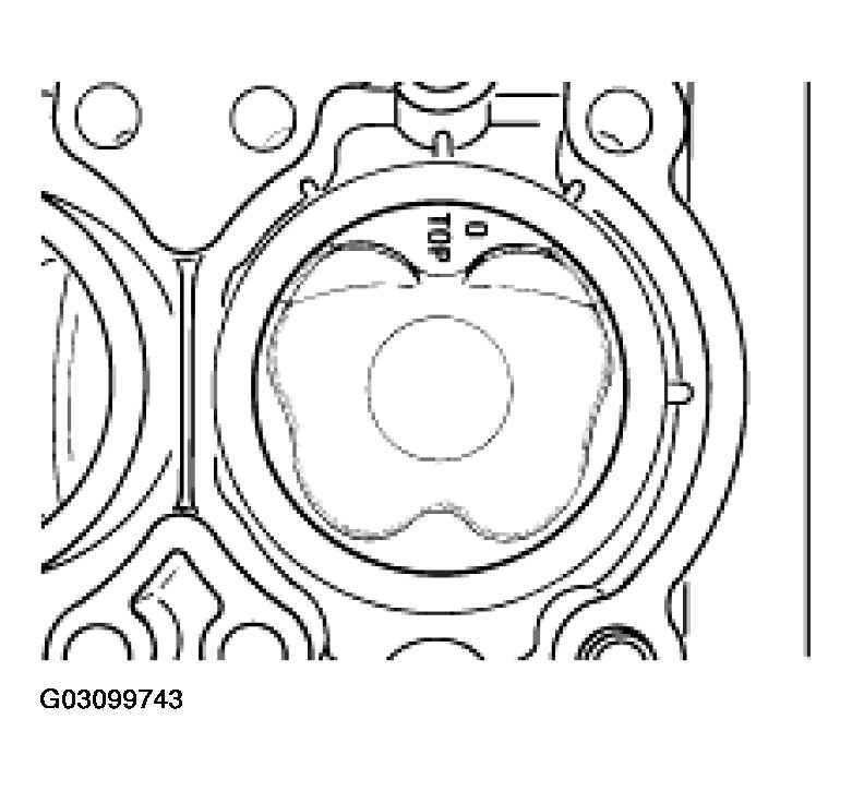 G03099743