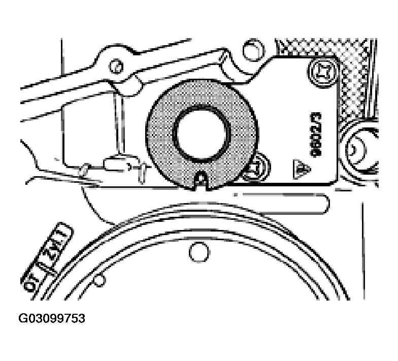 G03099753