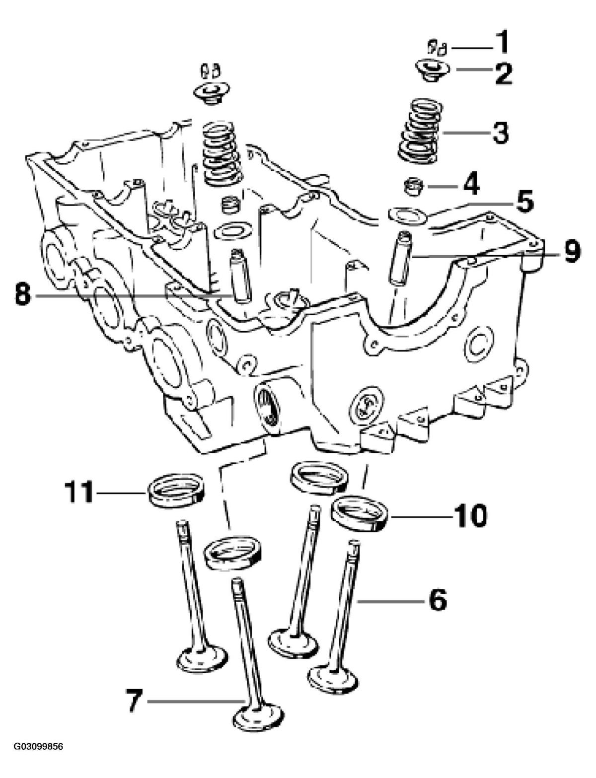 G03099856