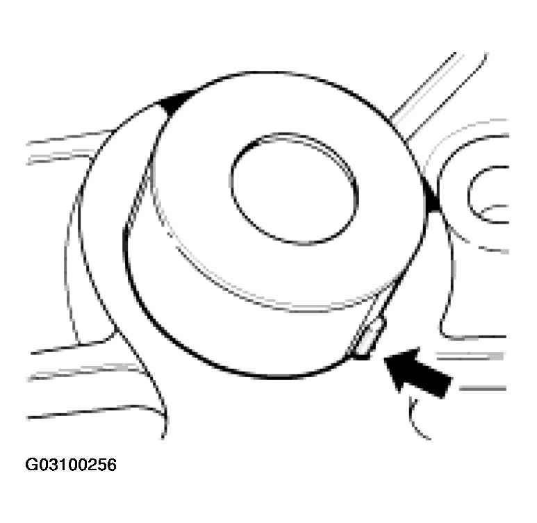 G03100256