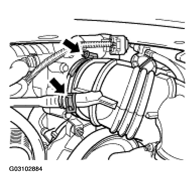 G03102884