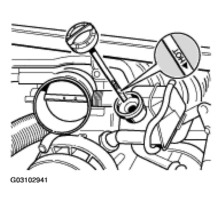 G03102941