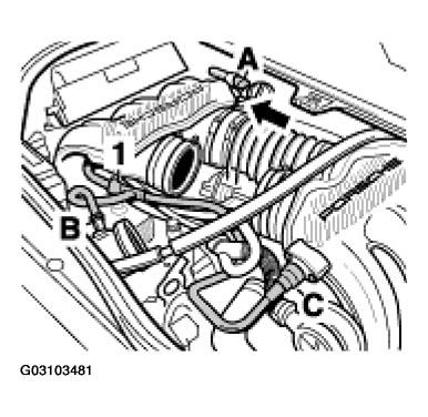 G03103481