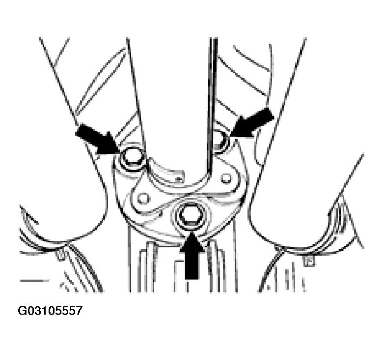 G03105557