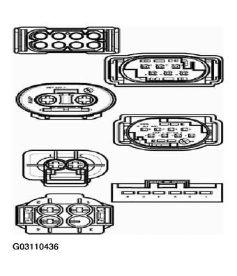 G03110436