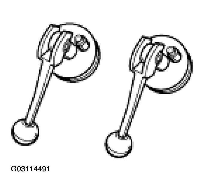 G03114491