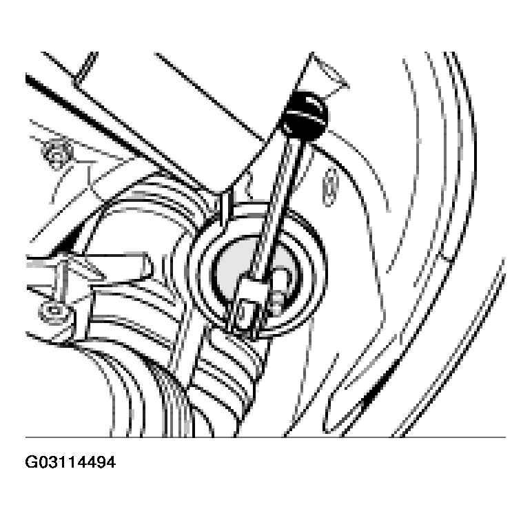G03114494