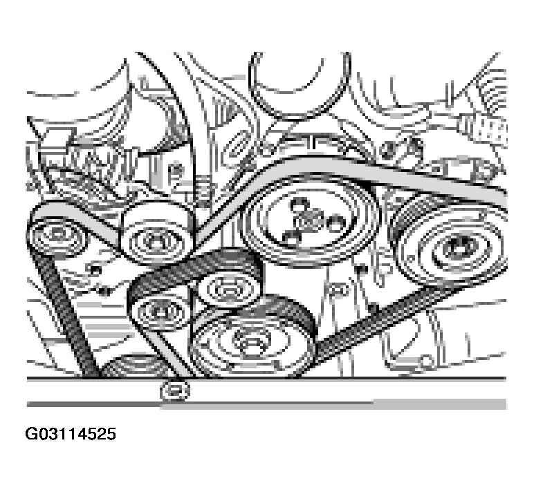 G03114525