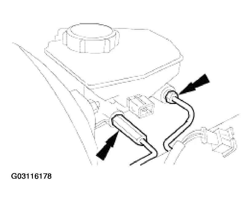 G03116178