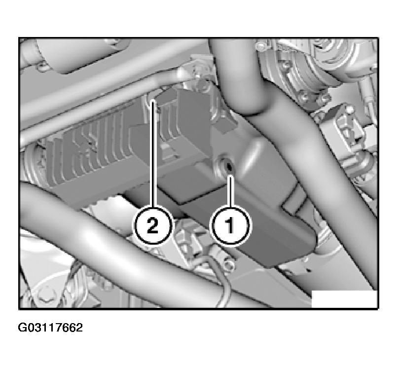 G03117662