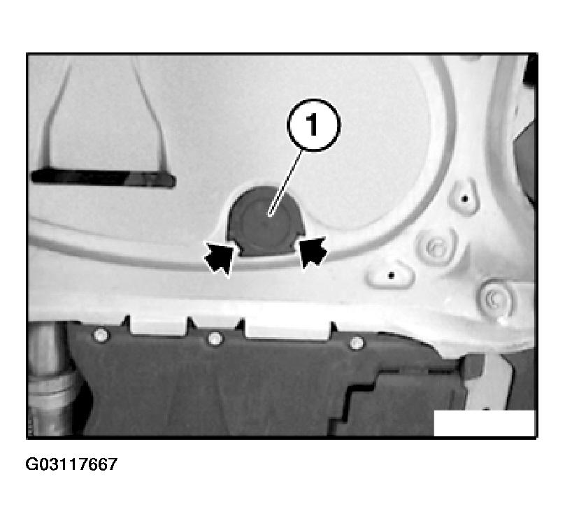 G03117667