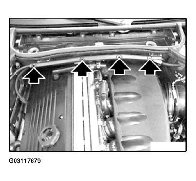 G03117679