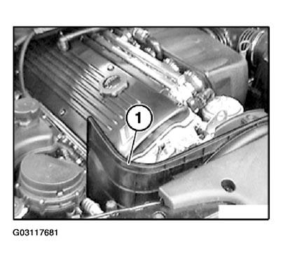 G03117681