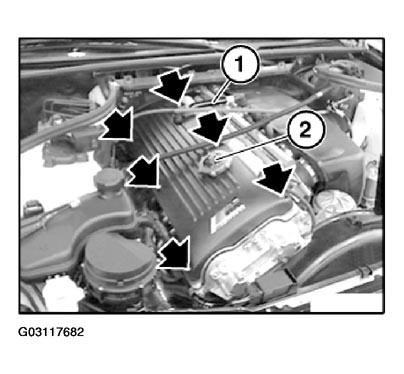 G03117682