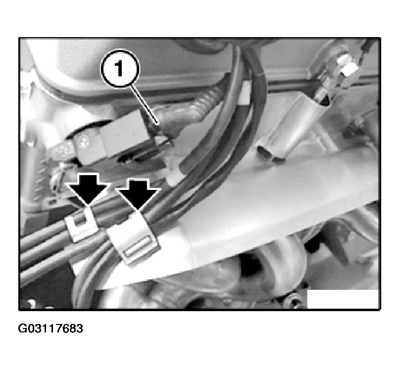 G03117683