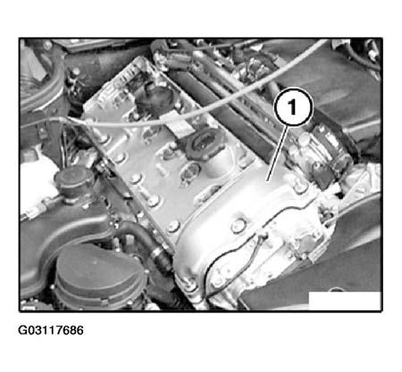 G03117686