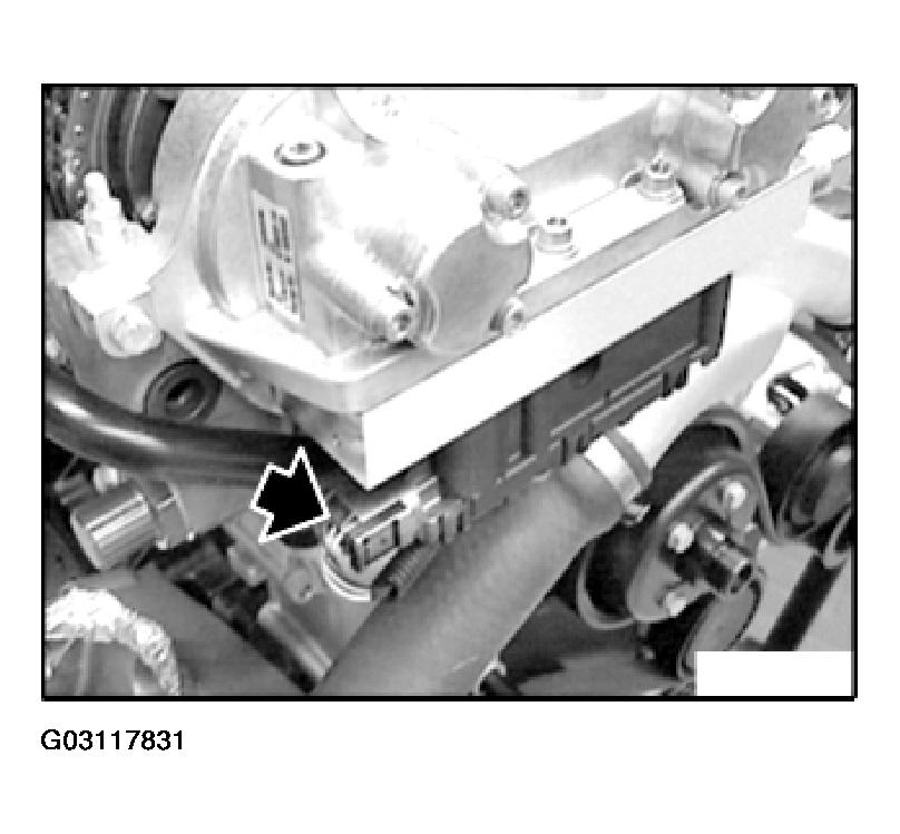 G03117831
