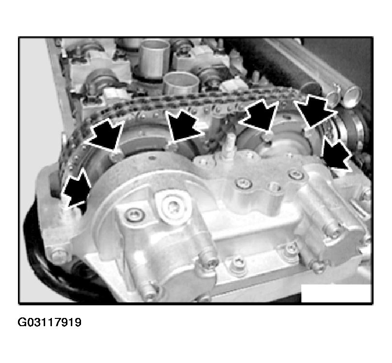 G03117919