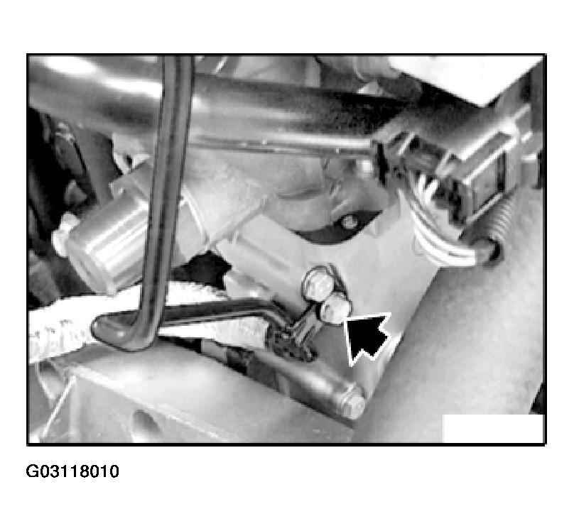G03118010