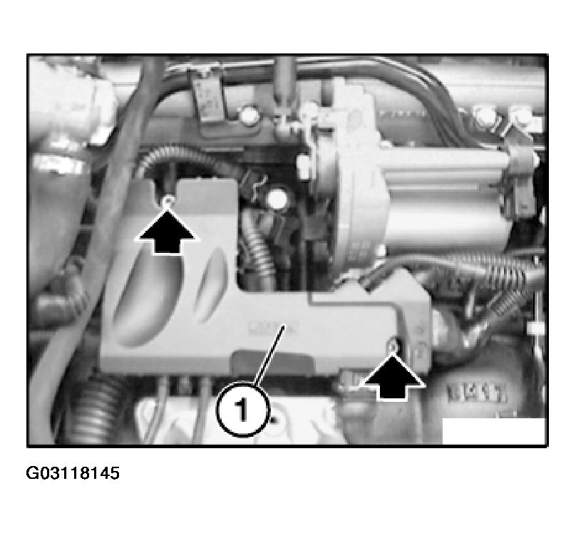 G03118145