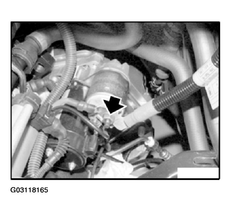G03118165