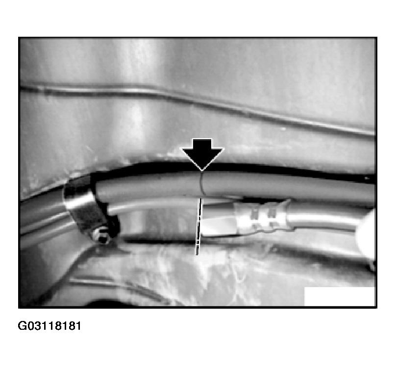 G03118181