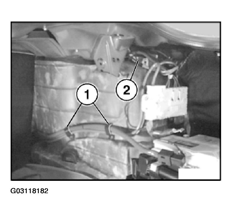 G03118182