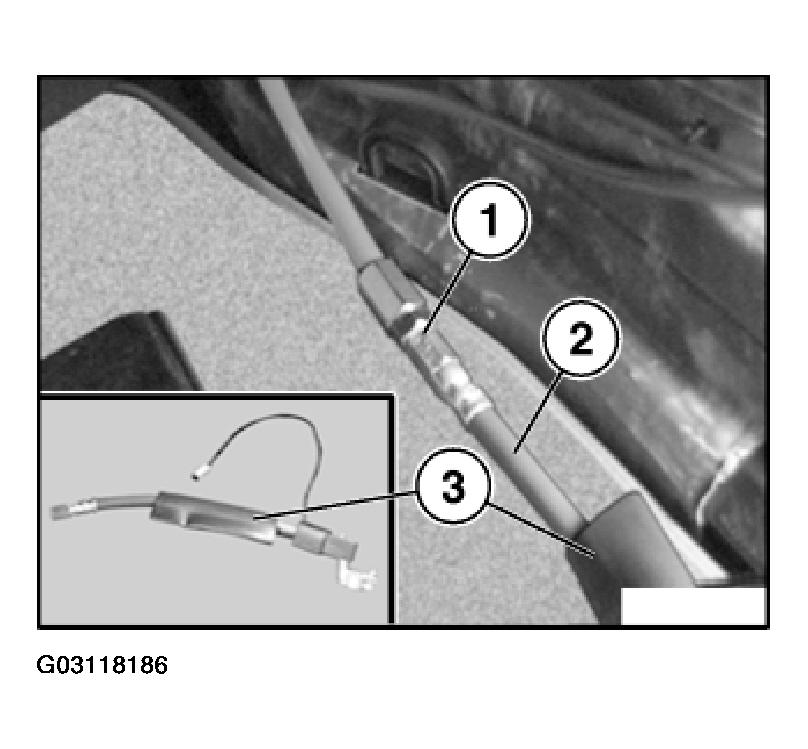 G03118186