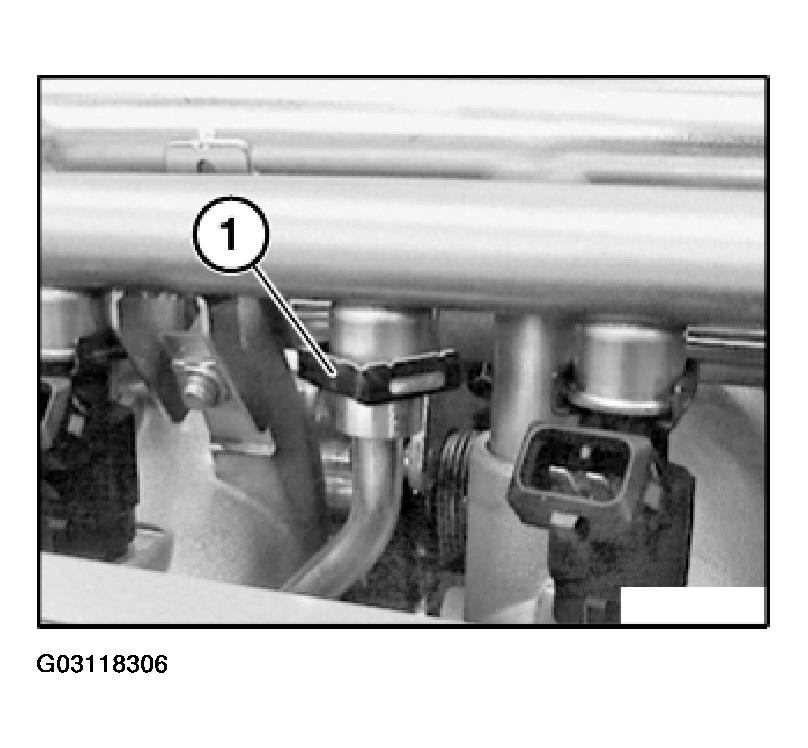 G03118306