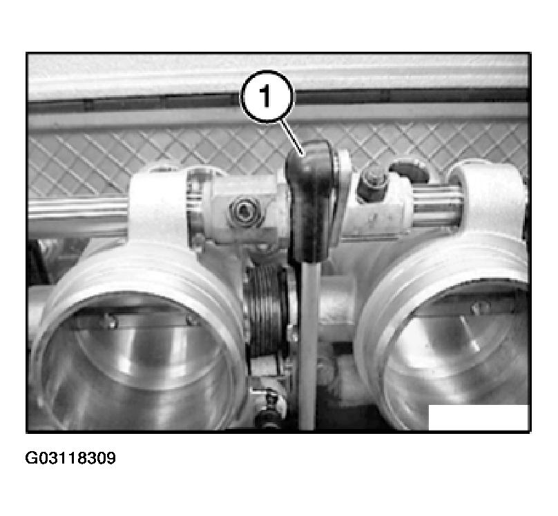 G03118309