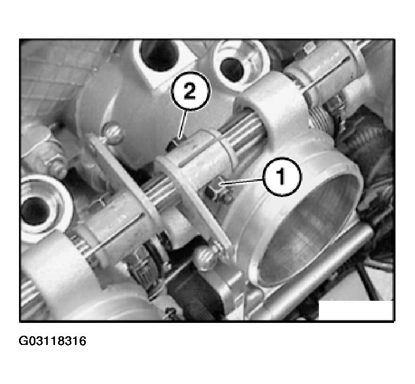 G03118316