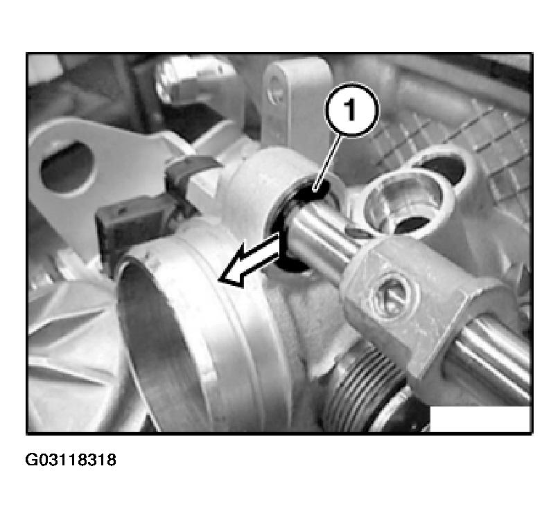 G03118318