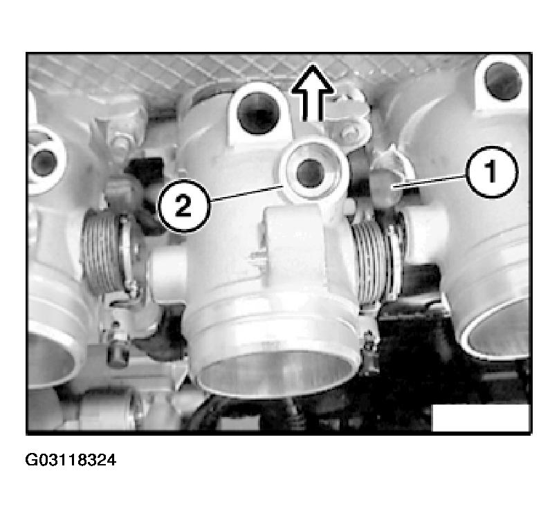 G03118324