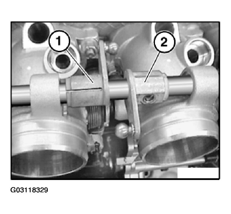 G03118329