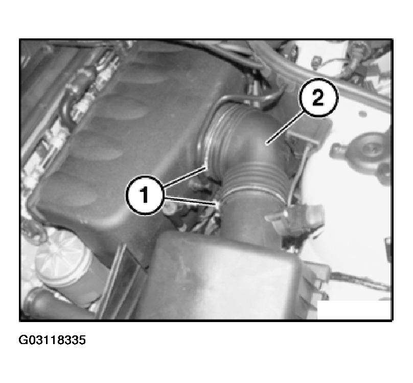 G03118335