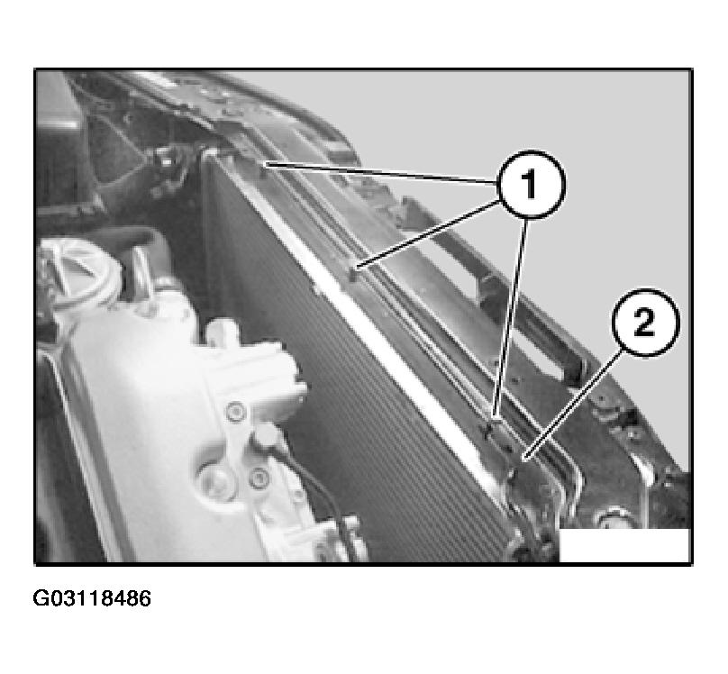 G03118486