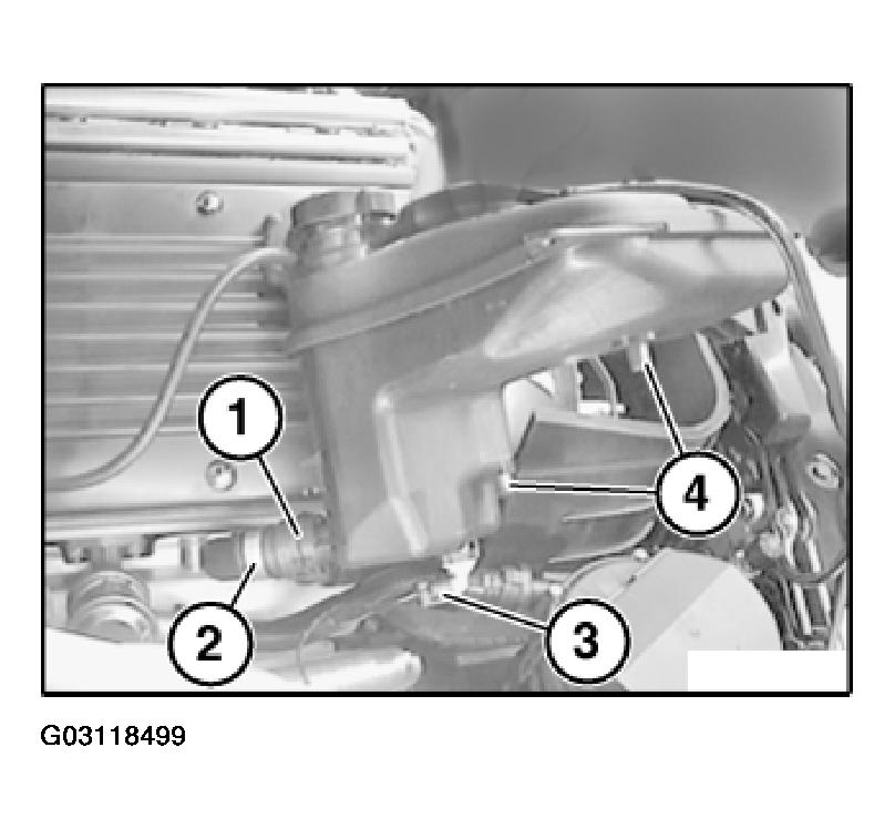G03118499