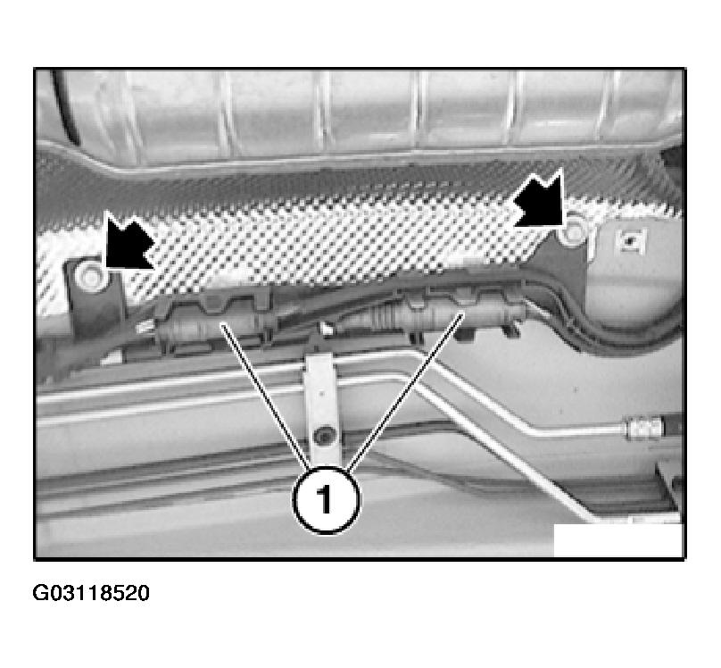G03118520