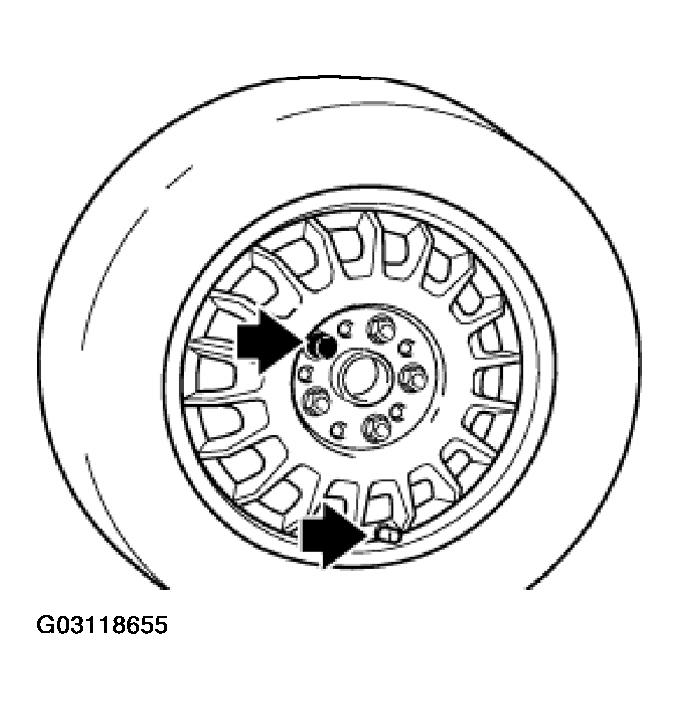 G03118655