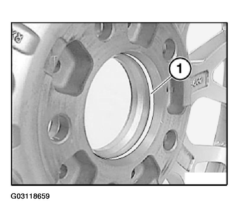 G03118659