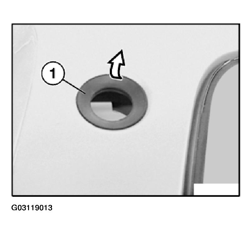 G03119013