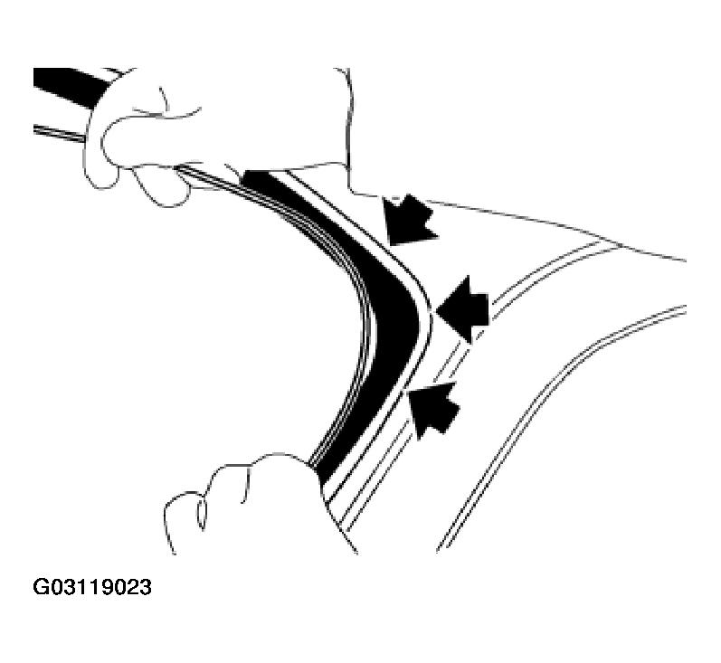 G03119023